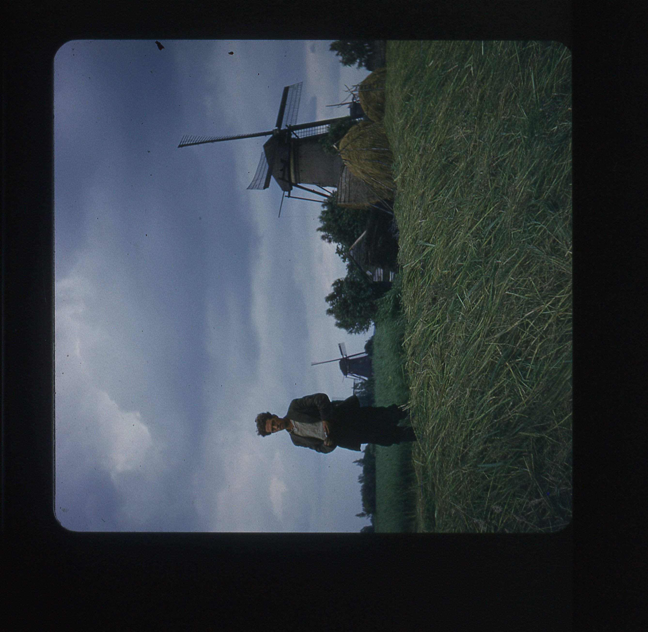 A24